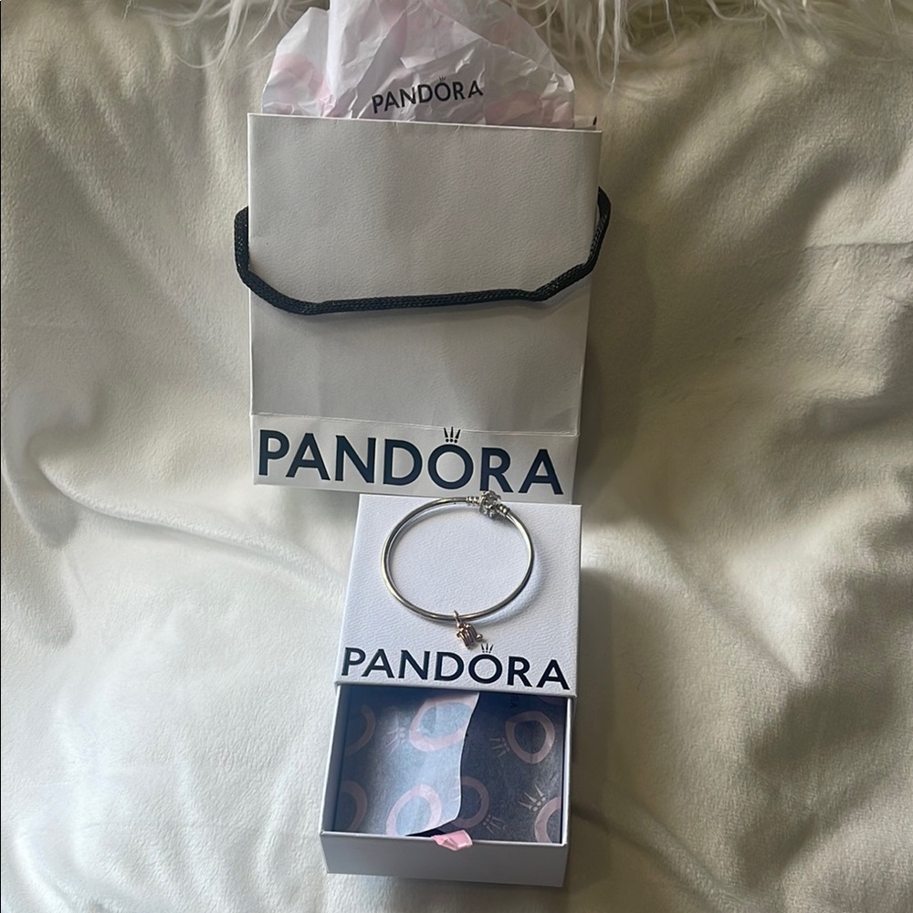 Pandora Silver Charm Bracelet